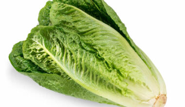 Wholegood Organic Fennel